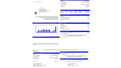 USA Texas Carrollton Utility Bill Word And PDF Template