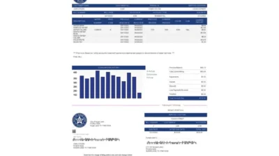 USA New York Central Hudson A fortis company utility Bill Word And PDF Template (3 pages)