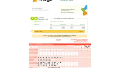 Mega Facture Template in Word and PDF Format
