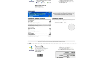 Malaysia Digi Telecommunications Template in Word And PDF Format