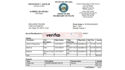 Nevada Source Tech Consultancy LLC template