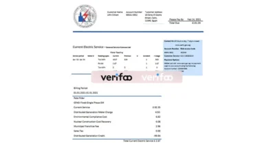 Egypt Egyptian Electricity utility bill template in Word and PDF format