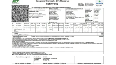 India Invoice Template in word and pdf format v5