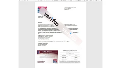 USA CPR Certificate Template