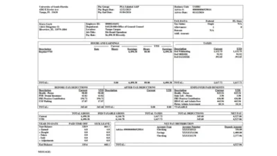 USA University of South Florida PayStub Word And PDF Template (2 Pages)