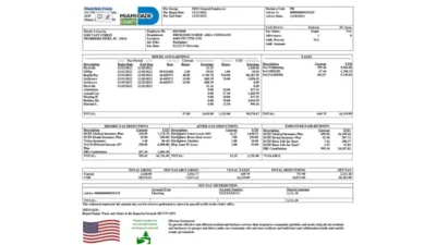 USA Miami-Dade County Paystub Word And PDF Template