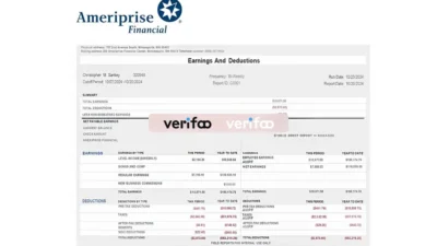 United States Sankey Pay Stub Template in Word and PDF Format