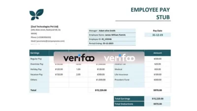 Zeal Technologies Paystub template