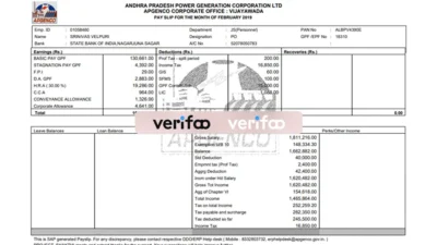 APGENCO Paystub Template