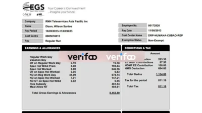 EGS Company Pay Stub Template
