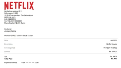 USA Netflix Invoice Word And PDF Template