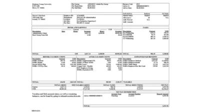 USA Brigham Young University PayStub Word And PDF Template