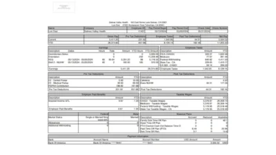 USA Salinas Valley Health PayStub Word And PDF Template (4 Pages)