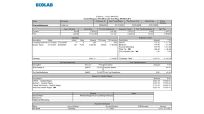 USA Ecolab Earnings Statement Word And PDF Template