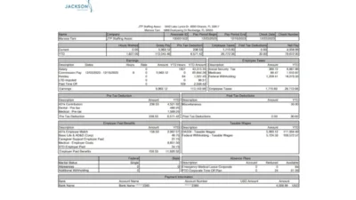 USA Jackson Healthcare PayStub Word and PDF Template