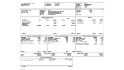USA Texas Health Physicians Group Paystub Word And PDF Template