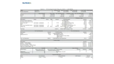 USA Nutanix Paystub Word And PDF Template
