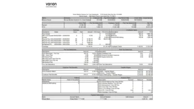 USA Varian Medical Systems Inc Paystub Template In Word And PDF Format