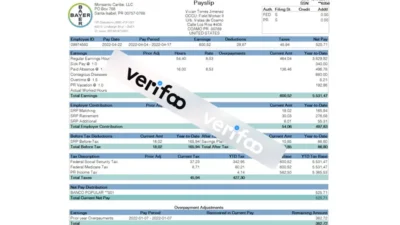 Bayer Monsanto Caribe Paystub template