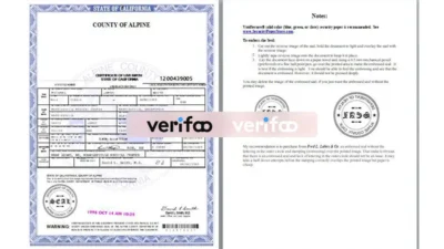 California Alpine County Birth certificate Template