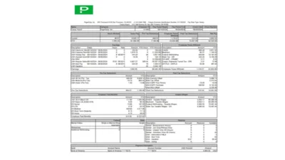 USA PagerDuty Inc Pay Stub Word And PDF Template (2 Pages)