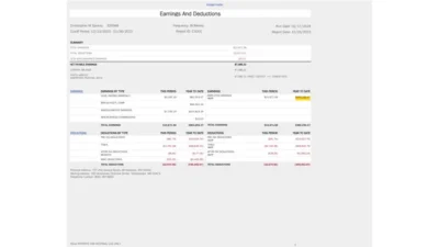 USA Ameriprise Financial PayStub Word and PDF Template