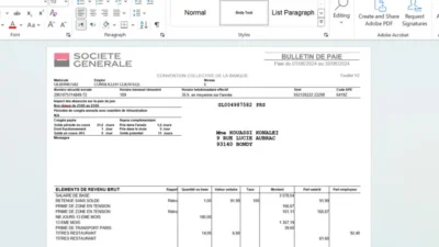 France Pay Slip (Bulletin de Paie) Template in Word and PDF Format