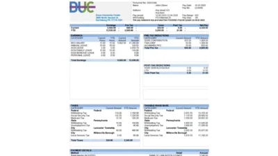 USA Dixon University Center educational company pay stub Word and PDF template