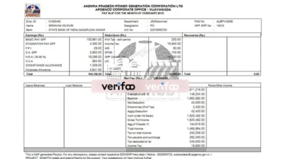 India APGENCO Paystub template