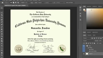 Authentic-Looking Fake Certificate From Cal Poly Pomona University PSD Template