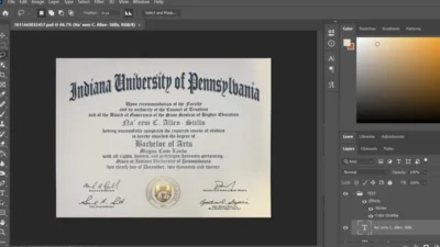 Fake Certificate From Indiana University Of Pennsylvania PSD Template