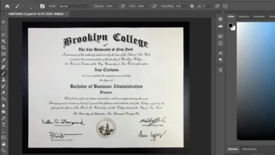 Fake Certificate From Brooklyn College PSD Template