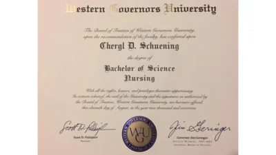 Authentic-Looking Fake Bachelor of Science from American University In Dubai