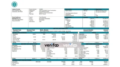 USA Floyd Healthcare Management Inc PayStub Word and PDF Template (2 Pages)