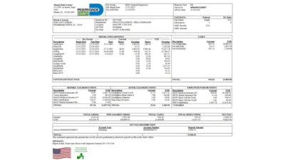 Miami Dade County Paystub Template in word And PDF Format