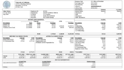 USA University of California educational company pay stub template