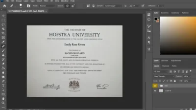 Hofstra University Certificate PSD Template