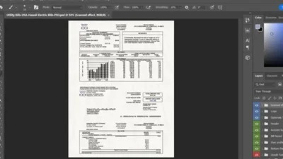 USA Hawaii utility bill PSD template