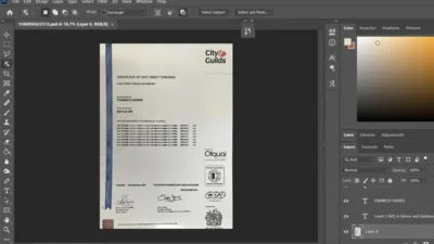 Fake Certificate From City Guilds University PSD Template