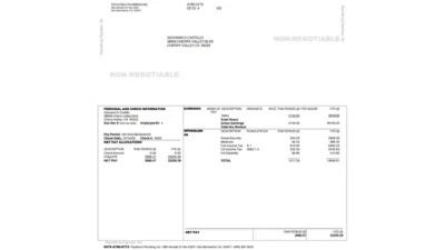 USA Paychex PayStub Word and PDF Template (3 Pages)
