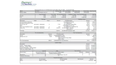 PharmacyChecker Paystub Template in word And PDF Format