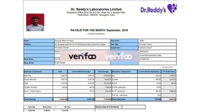 Indian Doctor Paystub template