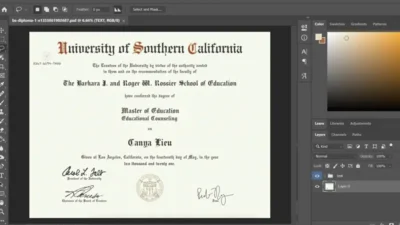 Authentic-Looking Fake Certificate From University Of Southern California PSD Template