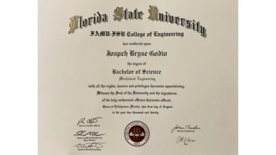Fake Certificate from Florida State University Template
