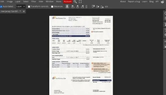 New Jersey South Jersey Gas Bill Template