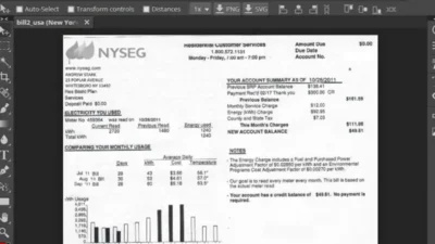 New York Utility Bill psd Template – NYSEG