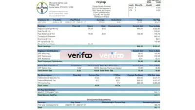 United States Paystub Template 2022