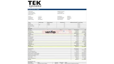 TekSystems Pay Stub Template