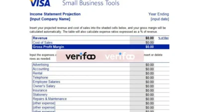 Visa Income Statement Templates