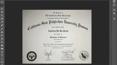Fake Certificate From California State Polytechnic University Pomona PSD Template